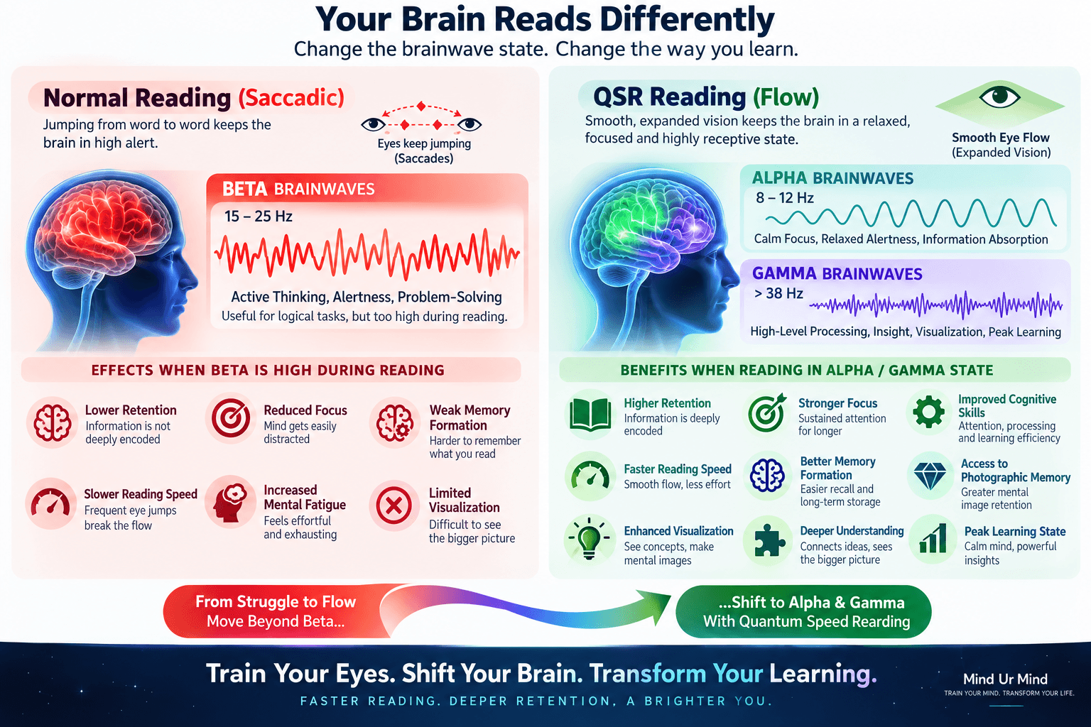 Comparison of normal saccadic reading (Beta brainwaves) versus Quantum Speed Reading flow state (Alpha/Gamma brainwaves) and their effects on retention and focus